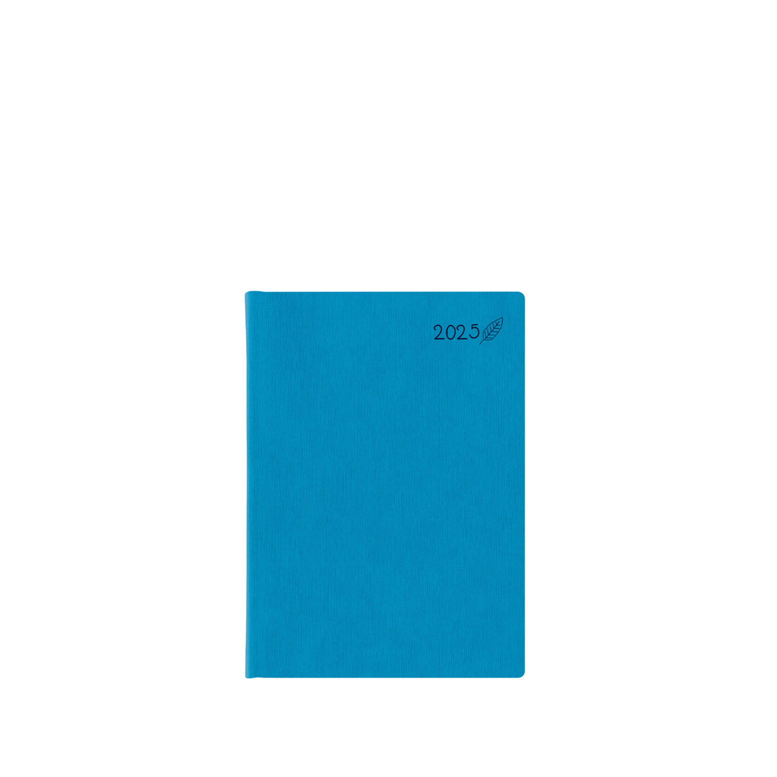 Wild Flat Medium