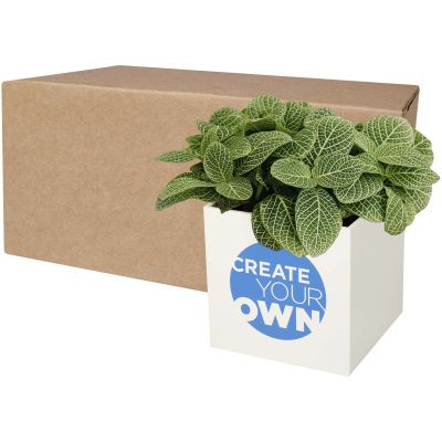 Hey Pots aluminium planted pot - succulent