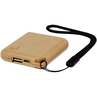 Eco 2000 mAh power bank