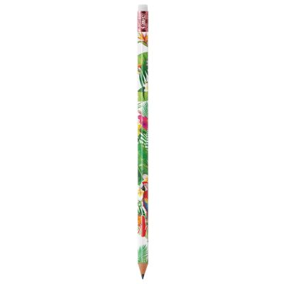 Evolution Digital Ecolutions (with eraser)
