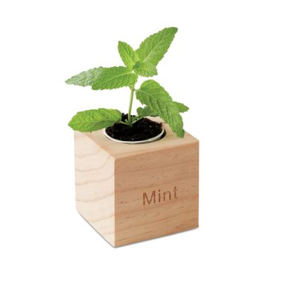 Menta