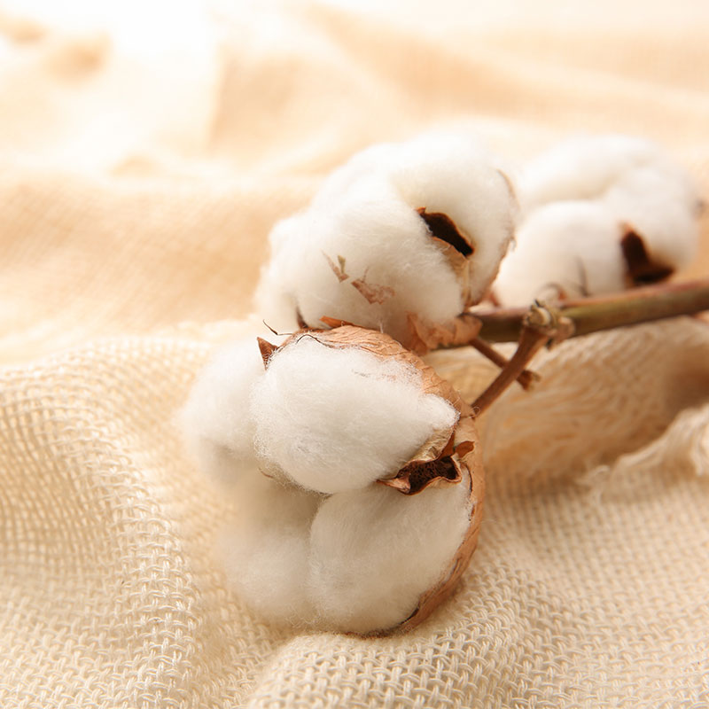 Why is Organic Cotton better for the environment?